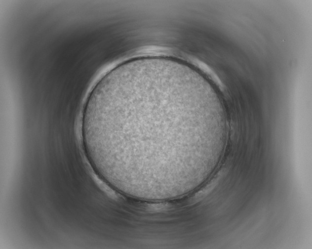 X0000111351421200907310943