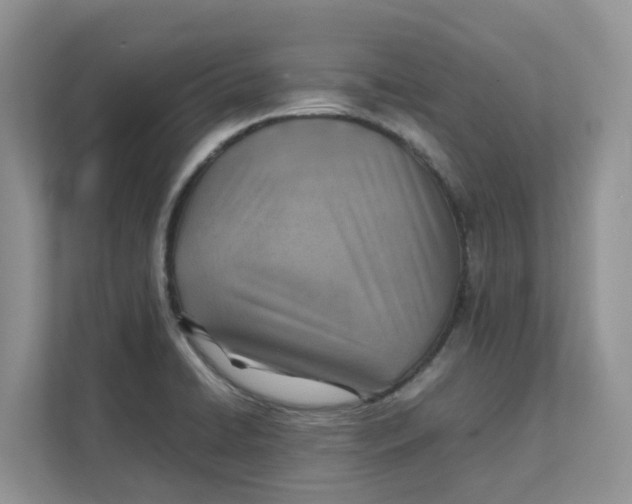 X0000111351422200907310943