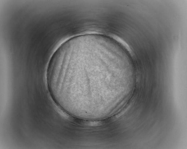 X0000111351423200907310943