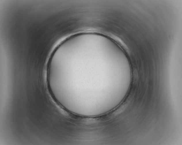 X0000111351424200907310943