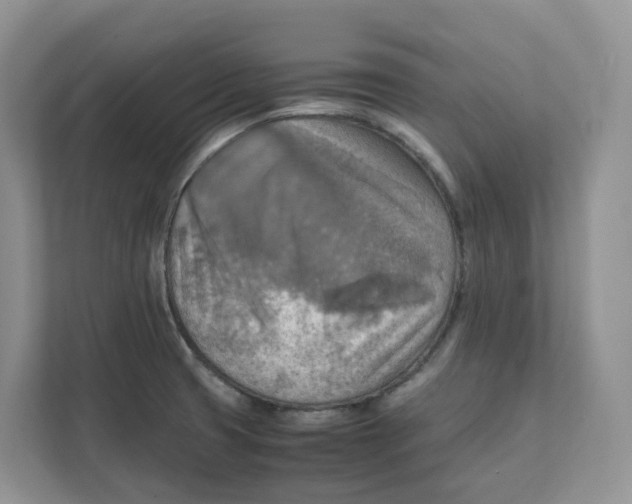 X0000111351425200907310943