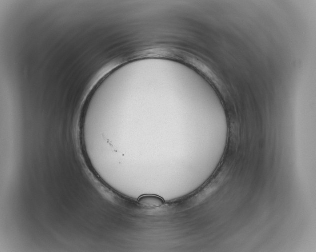 X0000111351426200907310943