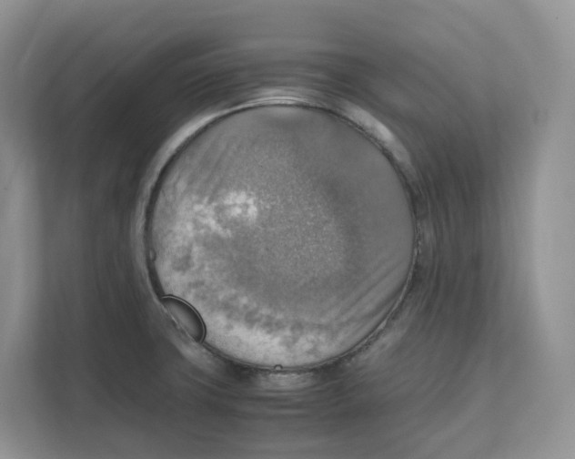 X0000111351427200907310943