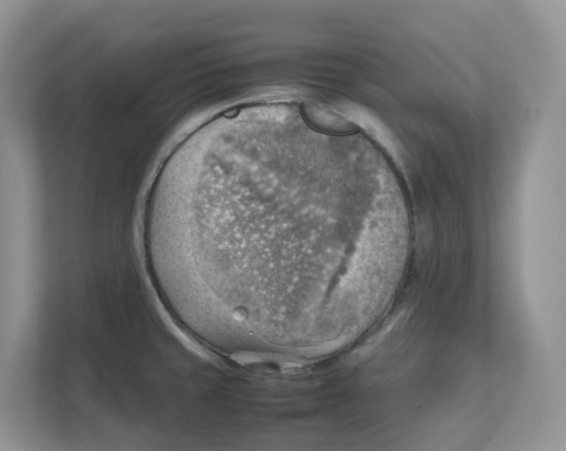 X0000111351429200907310943