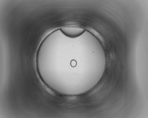 X0000111351431200907310943