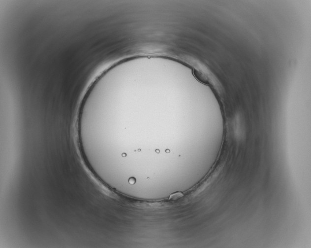 X0000111351432200907310943