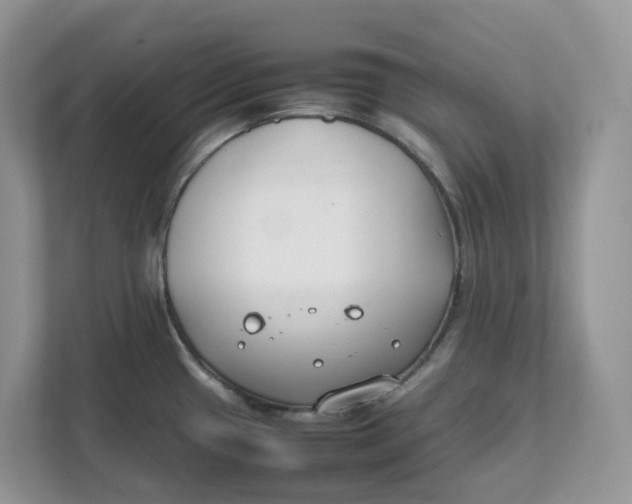 X0000111351433200907310943