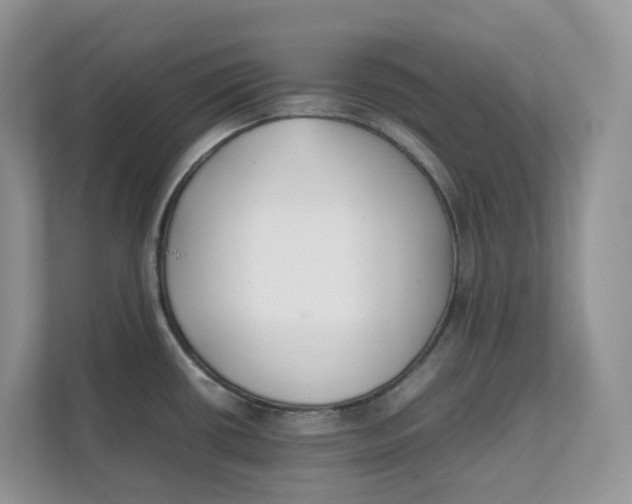 X0000111351434200907310943