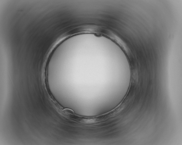 X0000111351435200907310943