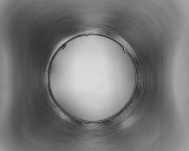 X0000111351436200907310943