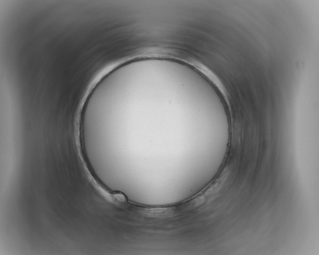 X0000111351437200907310943