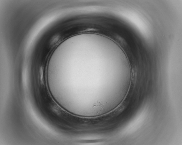 X0000111351439200907310943