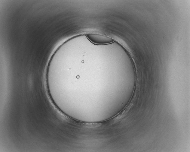 X0000111351440200907310943