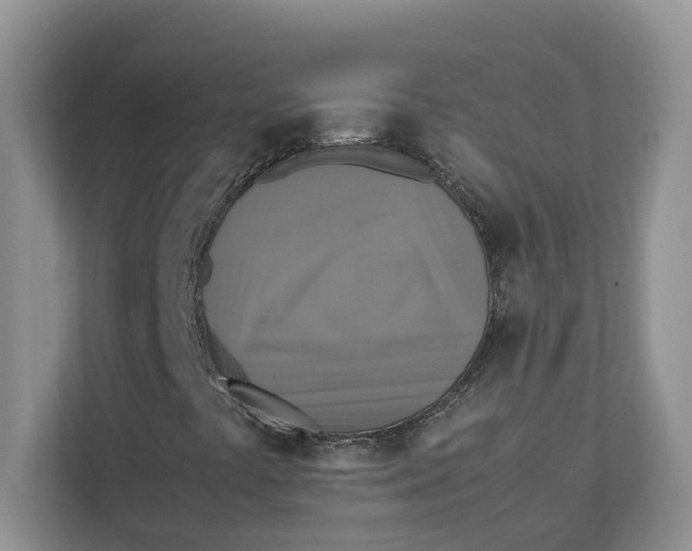 X0000111351441200907310942