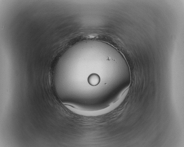 X0000111351442200907310942