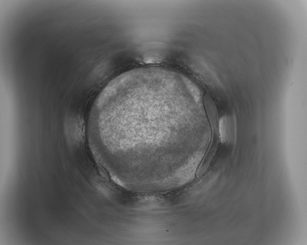 X0000111351443200907310942