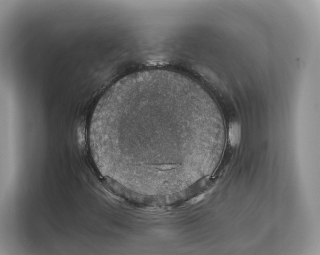 X0000111351444200907310942