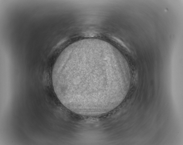 X0000111351446200907310942