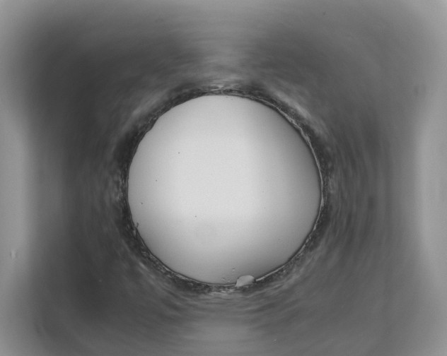 X0000111351447200907310942