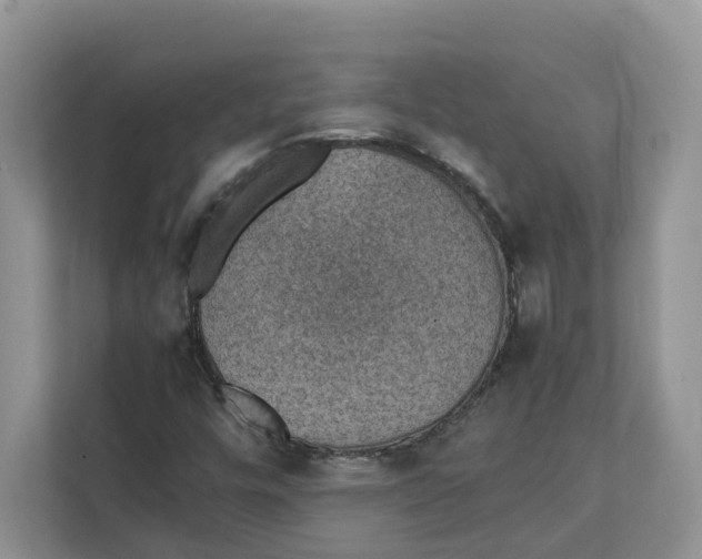 X0000111351448200907310942