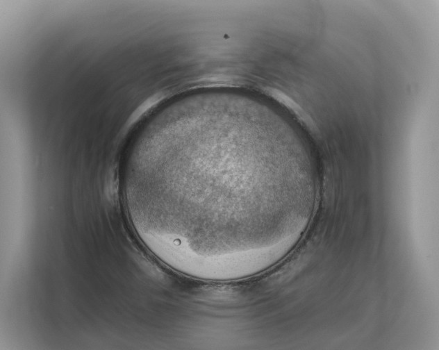 X0000111351450200907310942