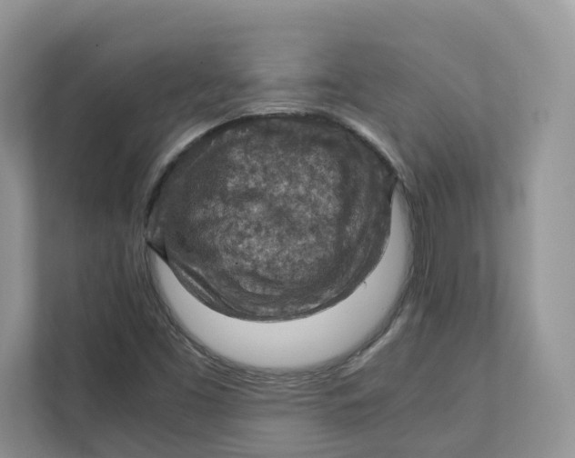 X0000111351453200907310942