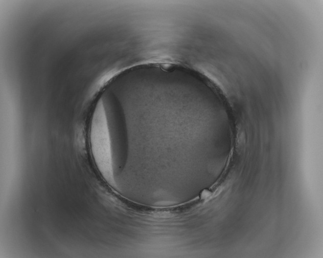 X0000111351455200907310942