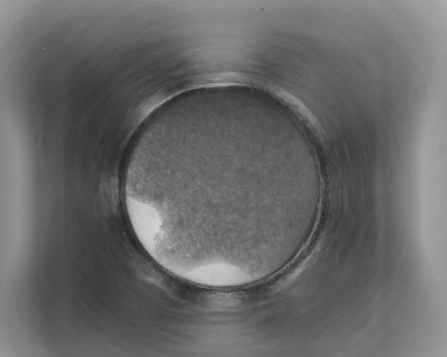 X0000111351457200907310942