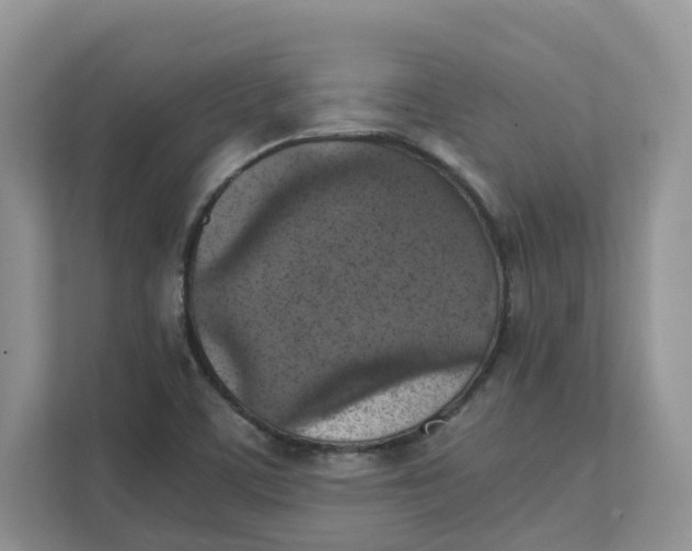 X0000111351459200907310942