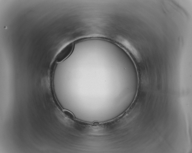 X0000111351460200907310942