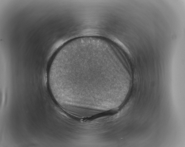 X0000111351461200907310942