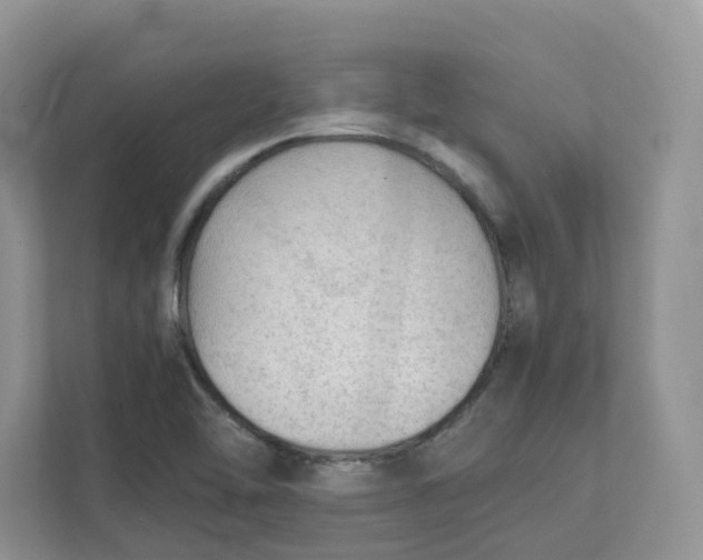 X0000111351462200907310942