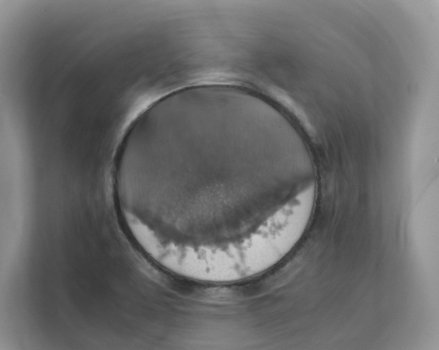 X0000111351463200907310942