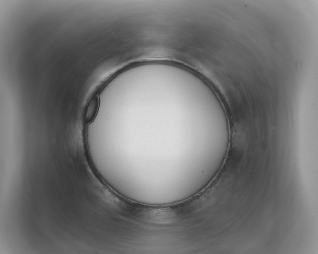 X0000111351464200907310942