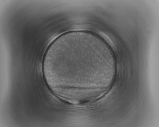 X0000111351465200907310942