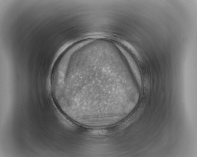 X0000111351466200907310942