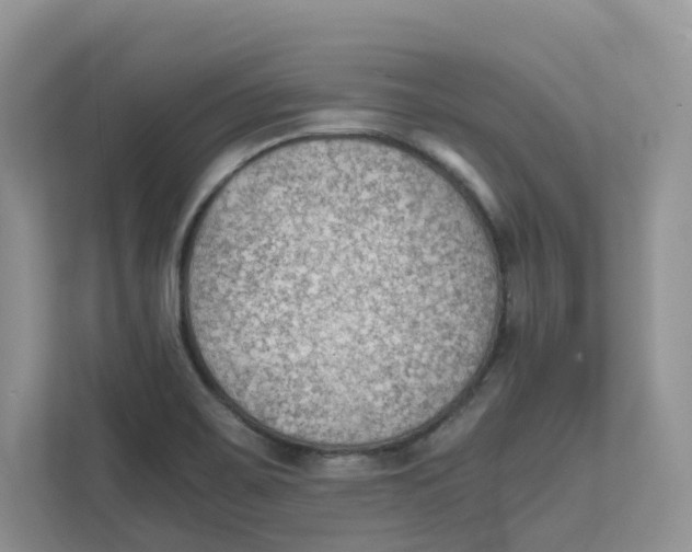 X0000111351467200907310942