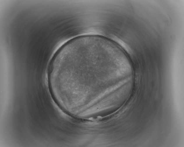 X0000111351468200907310942