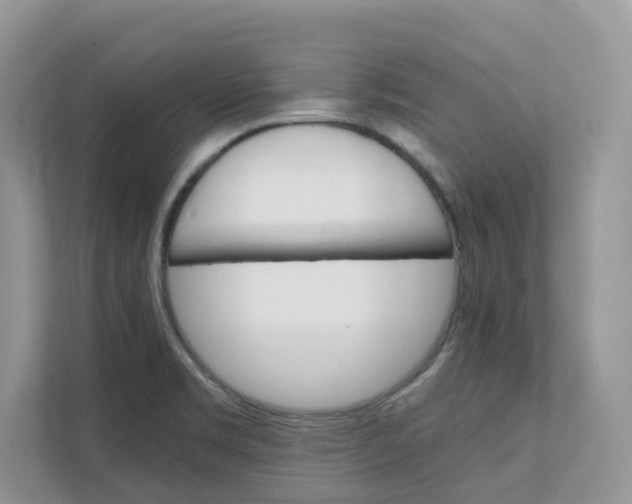 X0000111351469200907310942