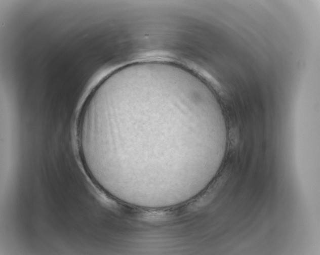 X0000111351470200907310942