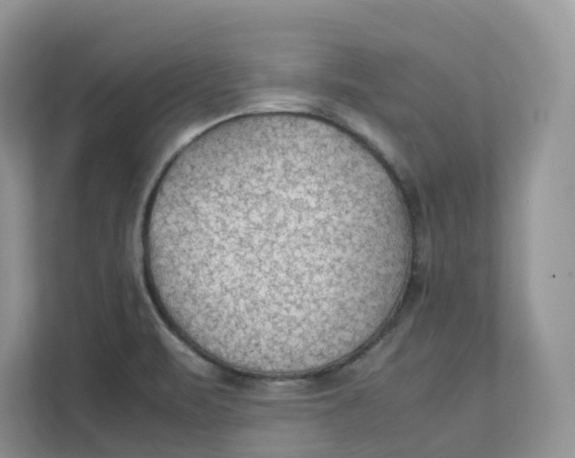 X0000111351471200907310942