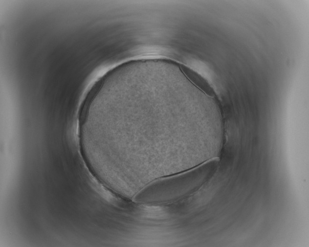 X0000111351472200907310942