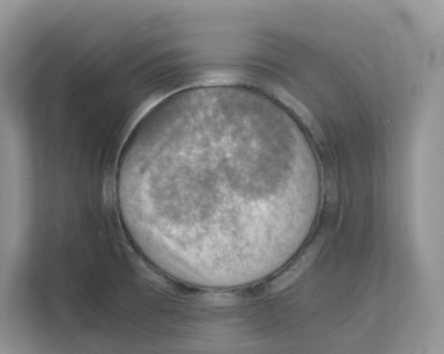 X0000111351473200907310942