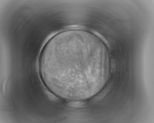 X0000111351474200907310942