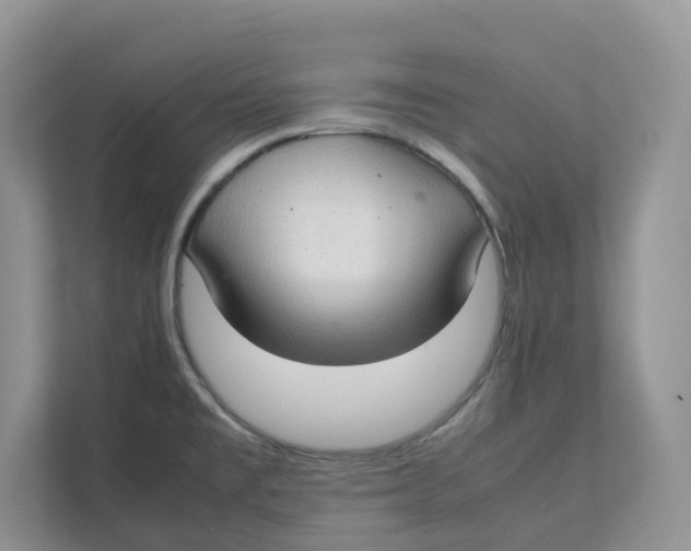 X0000111351477200907310942