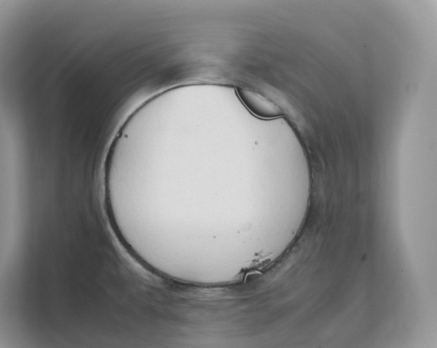 X0000111351479200907310942