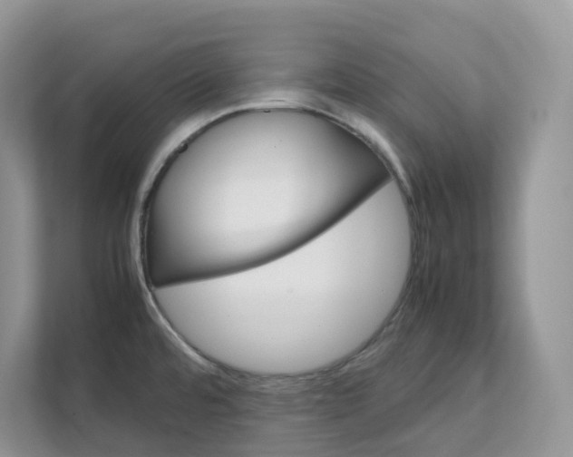 X0000111351480200907310942