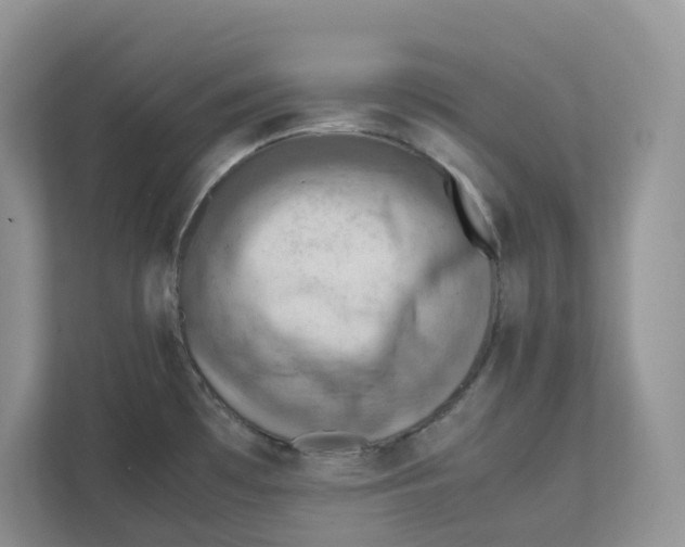 X0000111351481200907310942