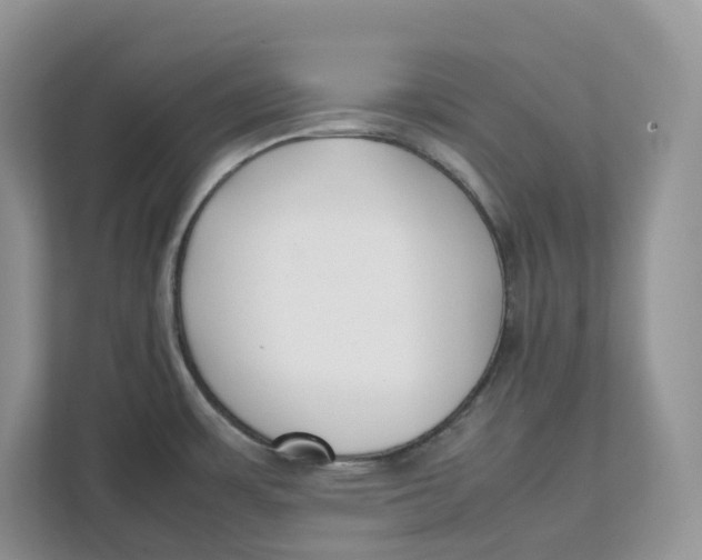 X0000111351483200907310942