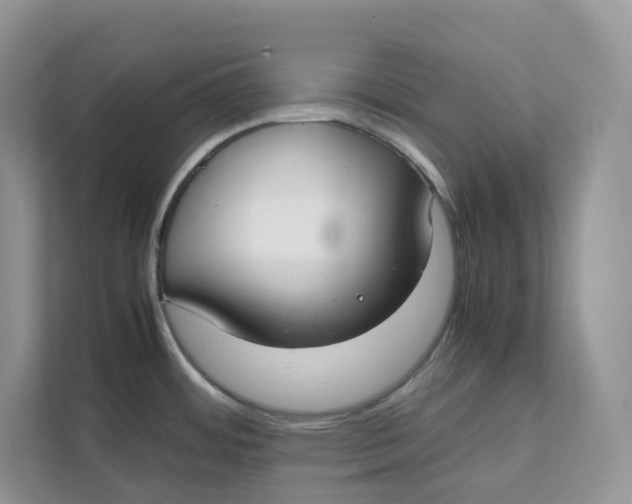 X0000111351484200907310942